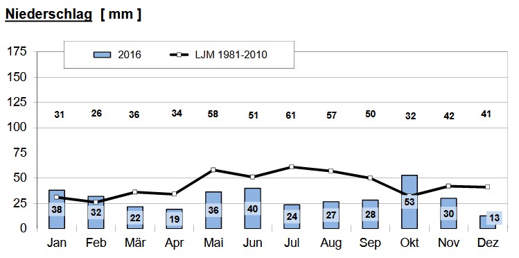 Balkendiagramm zeigt den Niederschlag für ein ganzes Jahr